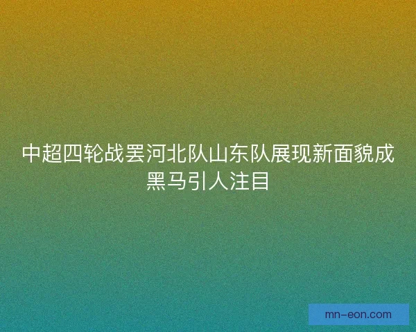 中超四轮战罢河北队山东队展现新面貌成黑马引人注目